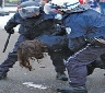 wpbecad5ea_05_06